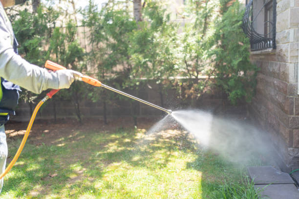 Best Pest Inspection Near Me  in Comstock Park, MI