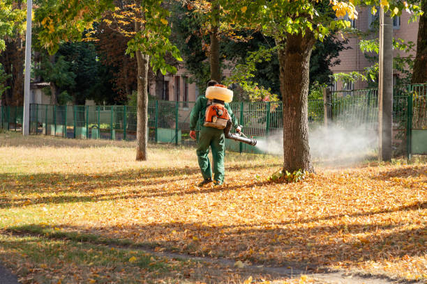 Best Pest Control for Restaurants  in Comstock Park, MI