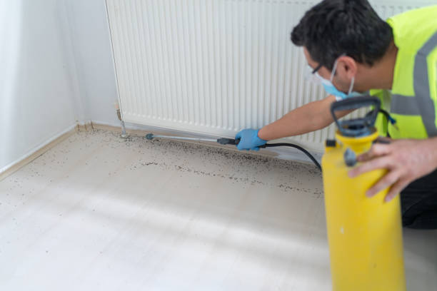Best Pest Prevention Services  in Comstock Park, MI